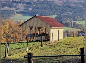 Einstellplätze im südlichen Waldviertel
