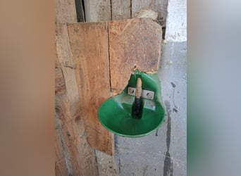Einstellplatz am Bauernhof frei!