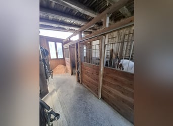 Einstellplatz am Bauernhof frei!