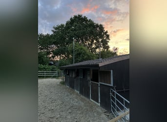 Einstellplatz in kleinem Privatstall frei