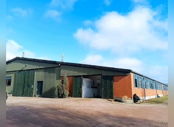 Freie Box/Berittplatz