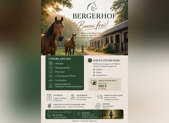 Freie Pensionsboxen für Pferde & Ponys – Bergerhof Dormagen Gohr-Broich - Hengste, Wallache, Stuten!