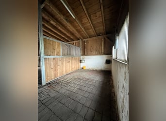 freie Pferdebox in Privatstall mit Wohnmöglichkeit(2-Raum-Wohnung