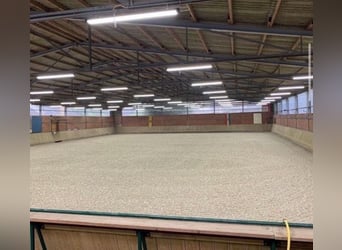 Ganze Stallgasse inkl. Sattelkammer zu vermieten