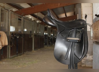 gr.Boxen sowie Stalltrakt frei