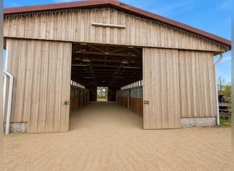 Idyllischer Stalltrack zu verpachten, 8 Boxen, Außenpaddocks, Laufstall (ganz oder teilweise)
