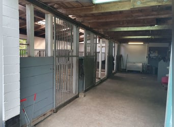 Kleiner Privatststall hat eine Box frei