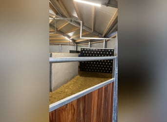 Pferdebox auf Top Anlage