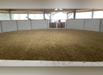 Pferdebox auf Top Anlage