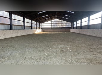 Pferdebox auf Top Anlage