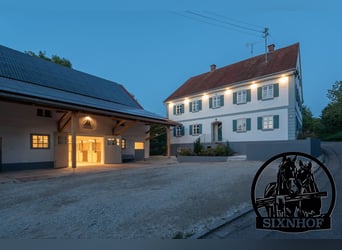 Pferdebox / Box im Reitstall / Pferdestall / Stall mieten