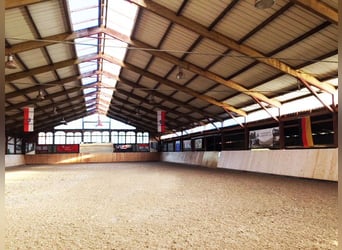 Reitanlage Berlin Nord-Ost | Boxen frei