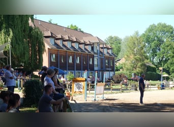 Reitanlage in Alt Zeschdorf (MOL) zu verpachten
