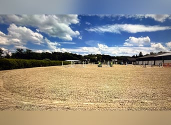 Schöner Stall am Ammersee