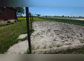 Selbstversorger Stall mit 3 Boxen, Koppel + Paddock frei