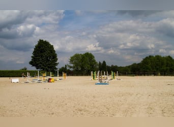 Stallgasse für 4, 5 , 10 oder 14 Pferde für Selbstversorger