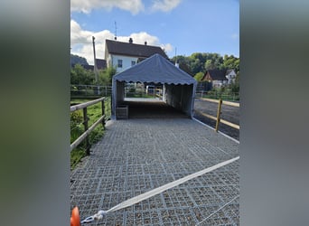 XXL Boxe in 9517 Mettlen