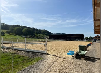 Zu vermieten: Fensterboxen