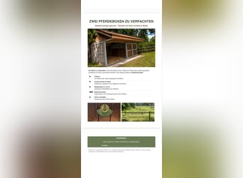 ZWEI PFERDEBOXEN ZU VERPACHTEN Selbstversorger gesucht – Resthof mit Stall, Auslauf & Weide