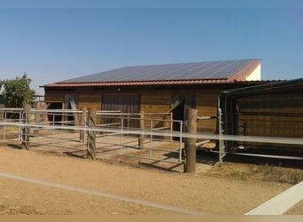 4x Paddock Pferdebox ähnliche Haltung - Offenstall