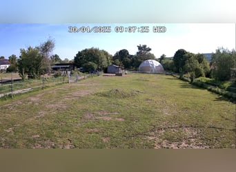 ...ein Platz für Dich und Dein (Senior) Pferd...