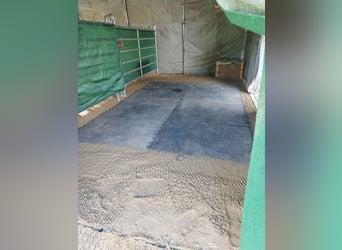 ...ein Platz für Dich und Dein (Senior) Pferd...