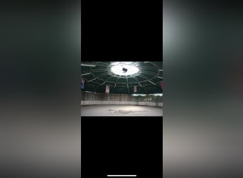 Einstellplatz im Offenstall