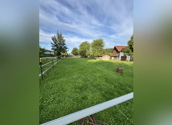 Günstiger, traumhafter Einstellplatz 