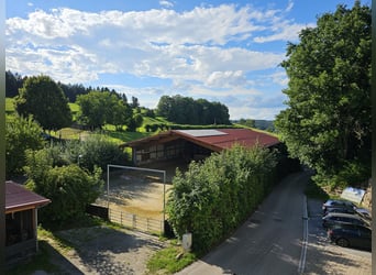 Offenstall Antersberg 83104 - freie Plätze 