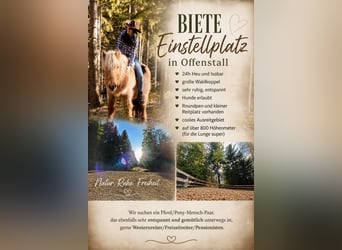 Offenstall Einstellplatz frei