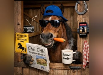 Offenstall-Paradies nähe Marbacher Stausee (Petersberg): Plätze frei!