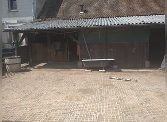 Offenstall, Stallplatz, Rentnerplatz 