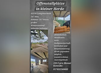 Offenstallplätze frei
