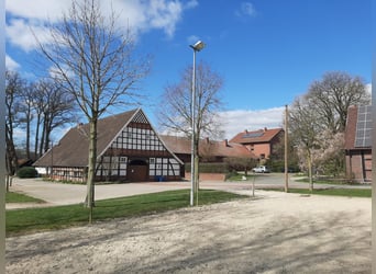 Offenstallplätze für Pferde frei, Belm bei Osnabrück