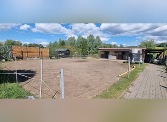 Offenstallplatz Pferdebox
