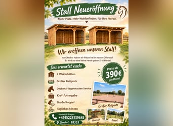 Plätze frei im neuen Offenstall