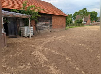 Platz frei in Hämelhausen