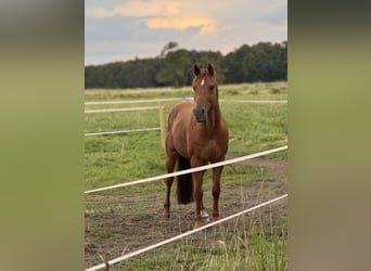 Rehaplatz direkt an der Nordsee