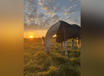 Rehaplatz direkt an der Nordsee