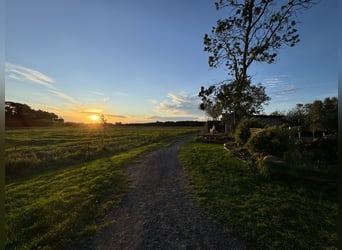 Rehaplatz direkt an der Nordsee