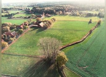 Sehr schöner Offfenstallplatz für Allergikerpferd frei