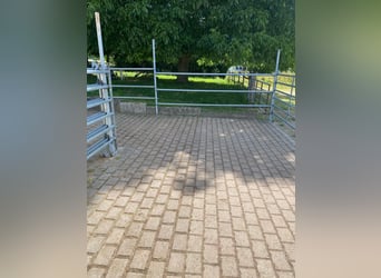 Stall mit zwei Paddockboxen zu vermieten an Selbstversorger