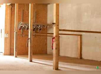 Boxen frei auf TOP Reitanlage mit 2 Reithallen / Pferde ReHa / AQUA-Trainer