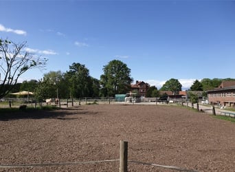 Boxen, Offenstallplatz 