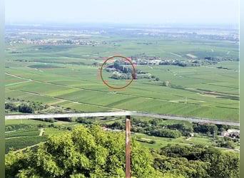 Frische Luft, ruhige Lage, offene Reithalle und Top-Ausreitgelände. Nette Stallgemeinschaft!