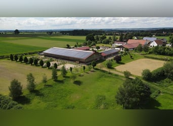 Große Paddockboxen auf moderner Reitanlage