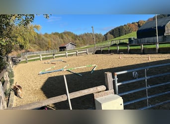 Kleine stallgemeinschaft