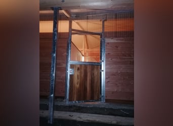 Neu gebaute Auslaufboxen zu vermieten