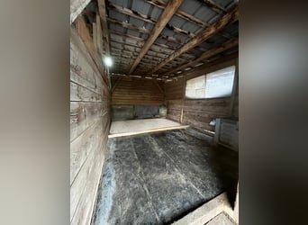 Paddock Box/Offenstall