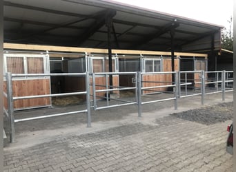 🐴 Paddockbox ab 01.10.2026 in Murr – Rundum-Sorglos-Paket